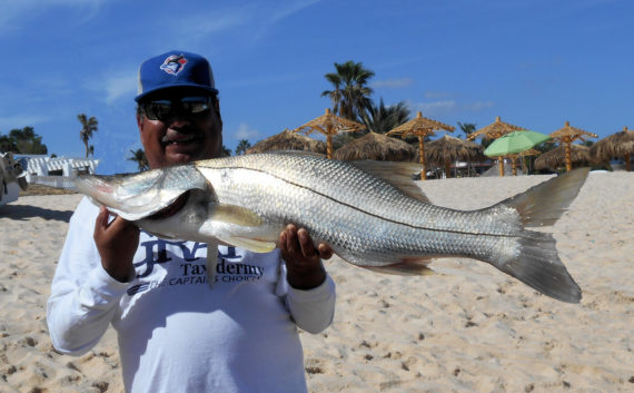 White Snook (3)