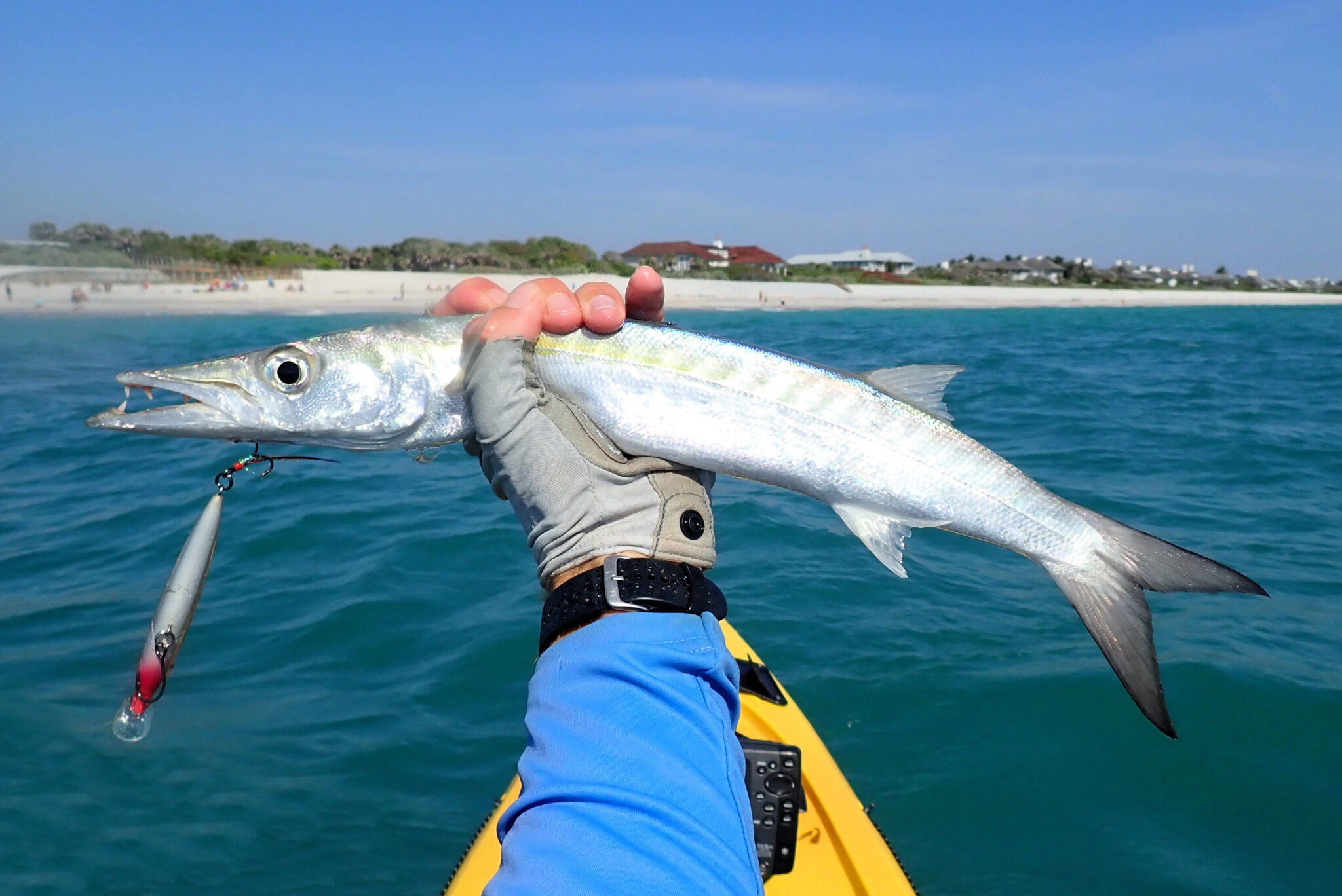 Guaguanche | Mexican Fish.com